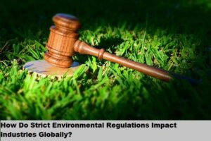How Do Strict Environmental Regulations Impact Industries Globally?