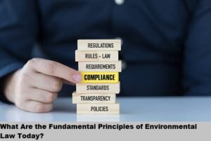 What Are the Fundamental Principles of Environmental Law Today?