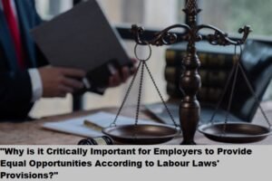 "Why is it Critically Important for Employers to Provide Equal Opportunities According to Labour Laws' Provisions?"