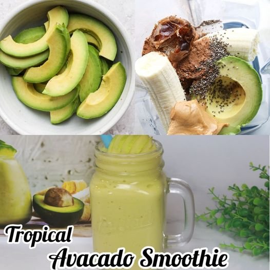 Easy Weight Loss Breakfast Smoothie Tropical Green Avocado Smoothie Recipe