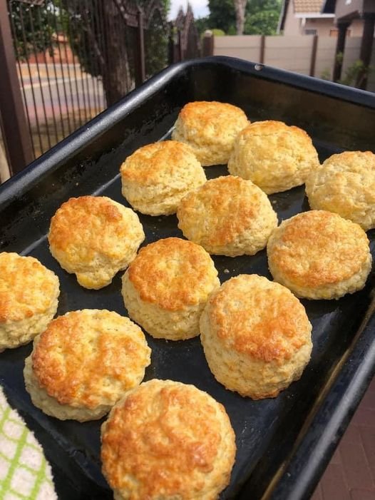 Low-Fat Cheddar Cheese Scones
